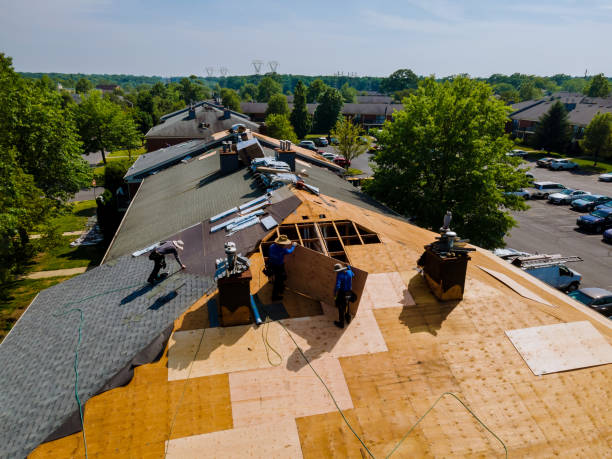 Best Roof Gutter Cleaning  in Sherrill, NY
